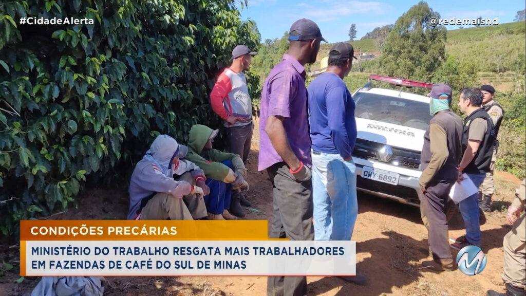 MINISTÉRIO DO TRABALHO RESGATA MAIS TRABALHADORES EM FAZENDAS DE CAFÉ DO SUL DE MINAS