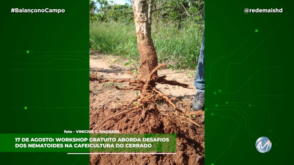 WORKSHOP DESAFIOS DOS NEMATOIDES NA CAFEICULTURA DO CERRADO