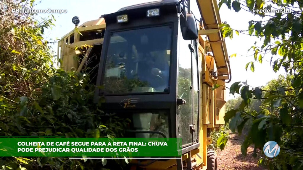 COLHEITA DE CAFÉ SEGUE PARA A RETA FINAL