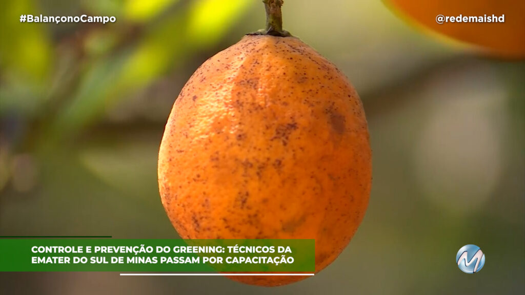 CONTROLE E PREVENÇÃO DO GREENING NO SUL DE MINAS