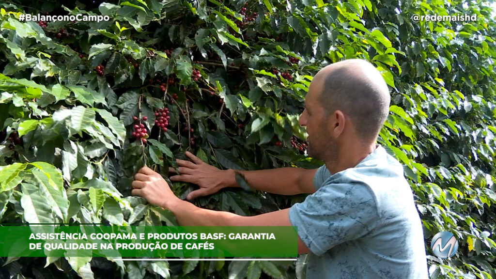 COOPAMA E BASF JUNTAS PARA MELHOR QUALIDADE DOS CAFÉS