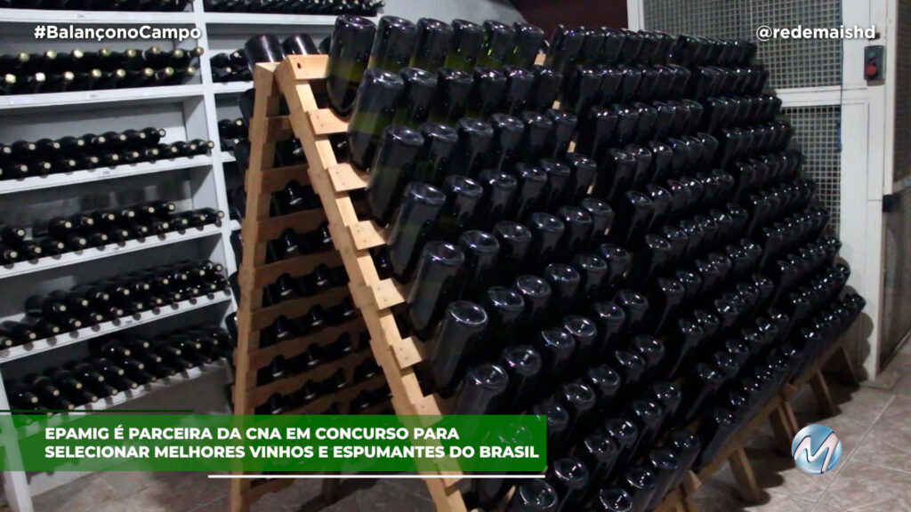 PRÊMIO ARTESANAL BRASIL 2023, EDIÇÃO VINHOS E ESPUMANTES