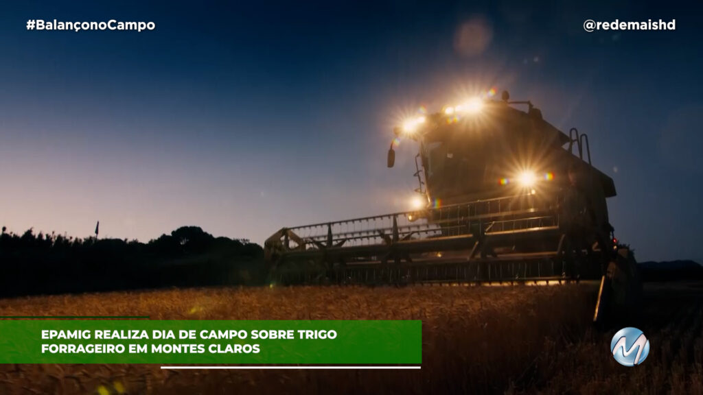 DIA DE CAMPO SOBRE TRIGO EM MONTES CLAROS