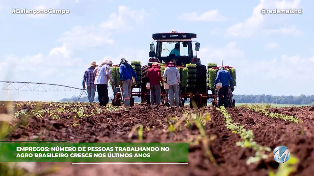 EMPREGOS NO AGRO CRESCEM NO BRASIL