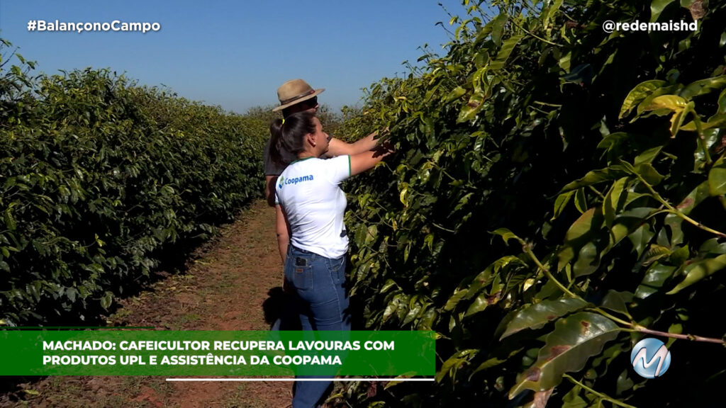 CAFEICULTOR RECUPERA LAVOURAS COM UPL E COOPAMA