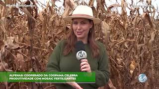 PRODUTOR DE ALFENAS CELEBRA BOA PRODUTIVIDADE COM MOSAIC E COOPAMA