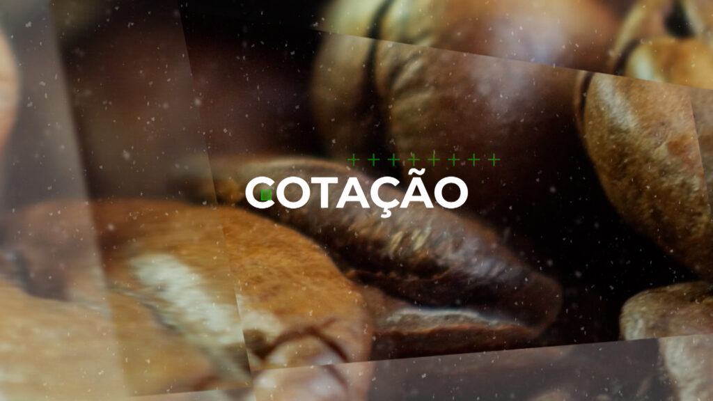 COTAÇÃO DO CAFÉ – 01/09/23