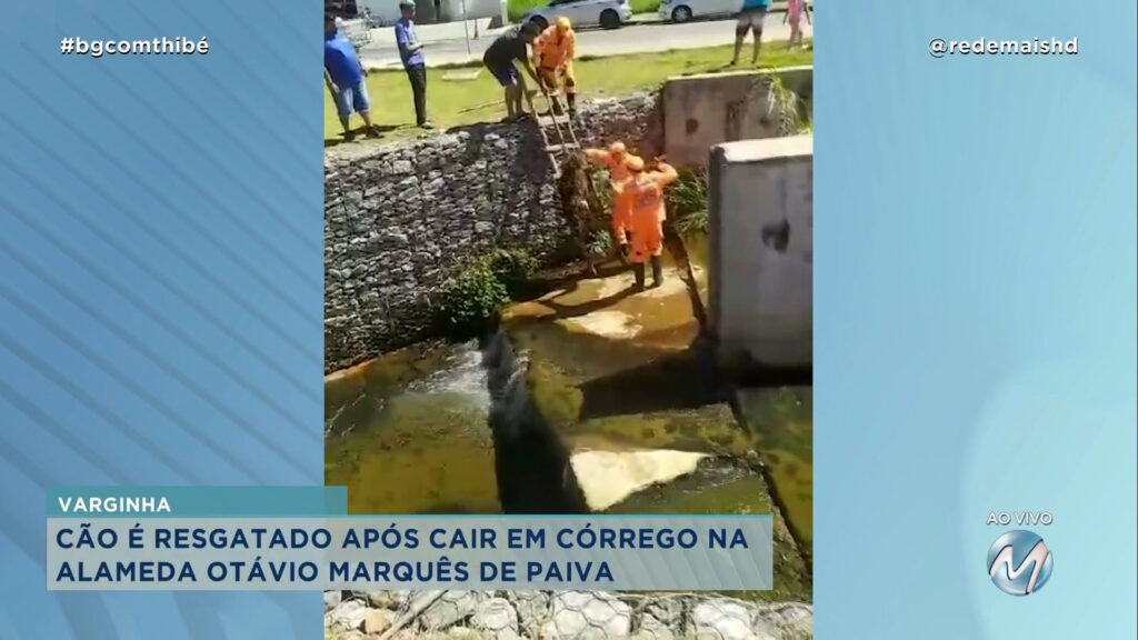 CÃO É RESGATADO APÓS CAIR EM CÓRREGO NA ALAMEDA OTÁVIO MARQUES DE PAIVA EM VARGINHA