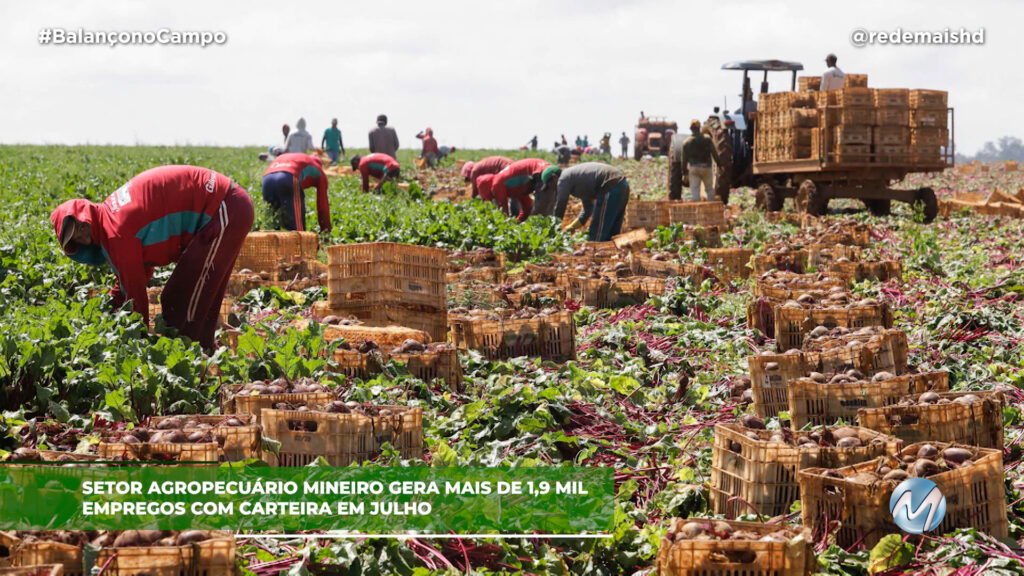 AGRO MINEIRO GERA MAIS DE 1,9 MIL EMPREGOS EM JULHO