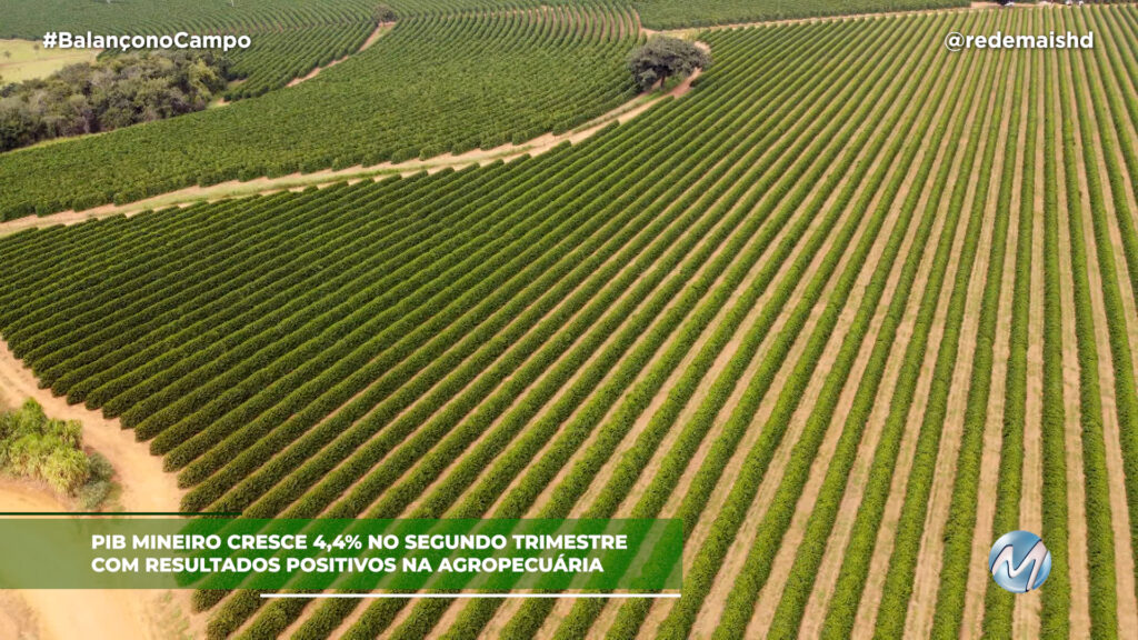 PIB MINEIRO CRESCE COM DESTAQUE PARA O AGRO