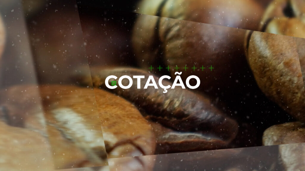 COTAÇÃO DO CAFÉ – 11/10/23