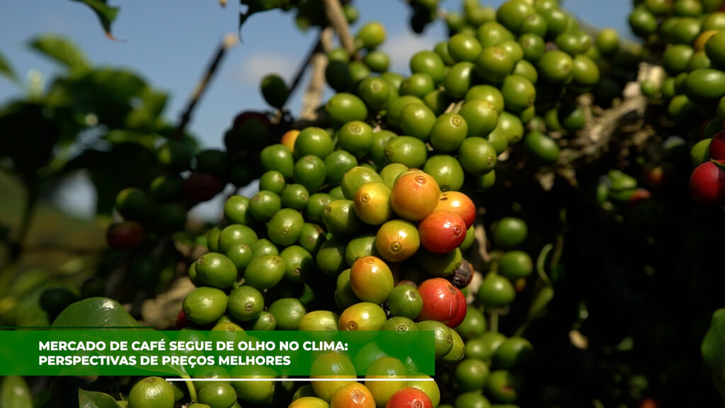 MERCADO DE CAFÉ DE OLHO NO CLIMA