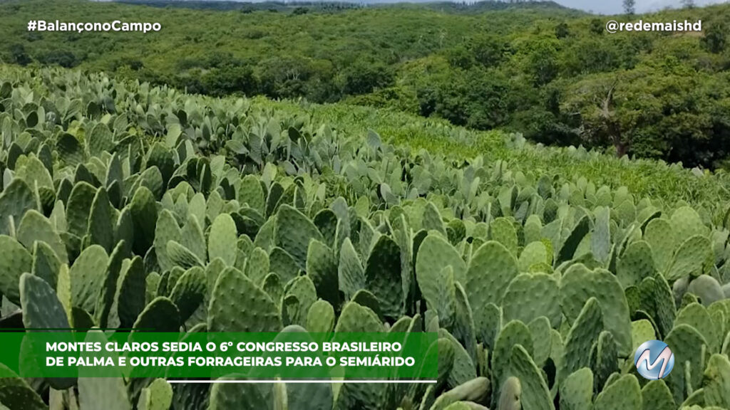 MONTES CLAROS SEDIA O 6º CONGRESSO BRASILEIRO DE PALMA