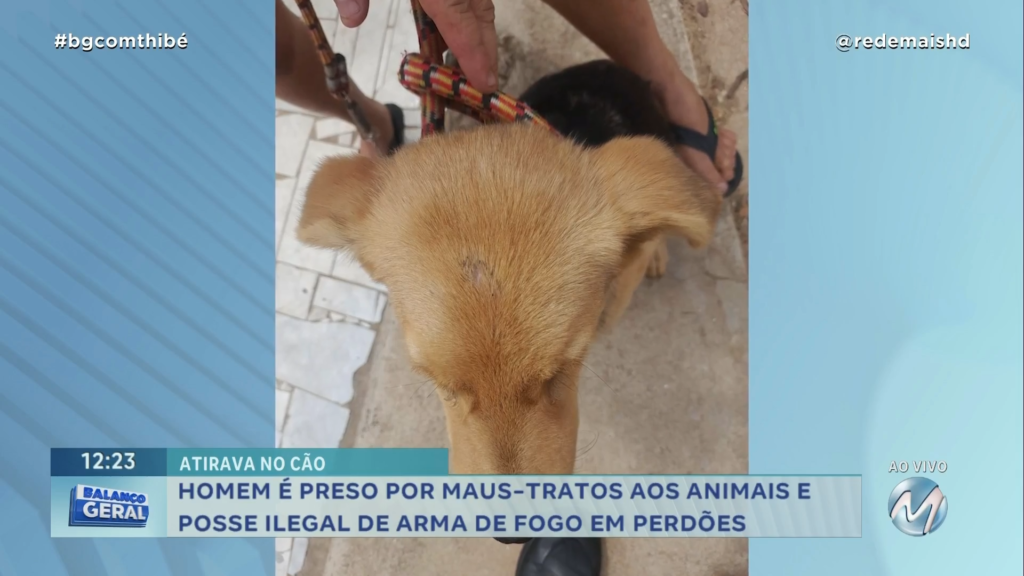 HOMEM É PRESO POR MAUS-TRATOS AOS ANIMAIS E POSSE ILEGAL DE ARMA DE FOGO EM PERDÕES