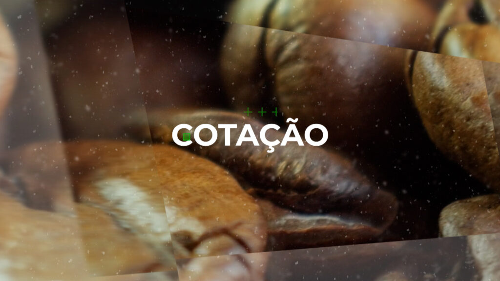 COTAÇÃO DO CAFÉ – 07/11/23