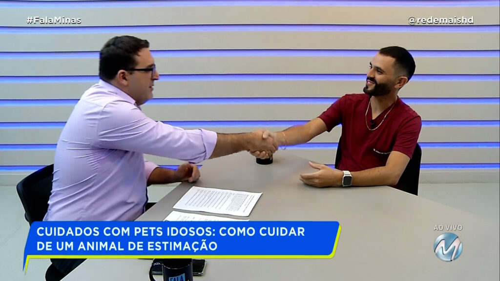 CUIDADOS COM PETS IDOSOS: COMO CUIDAR DE UM ANIMAL DE ESTIMAÇÃO