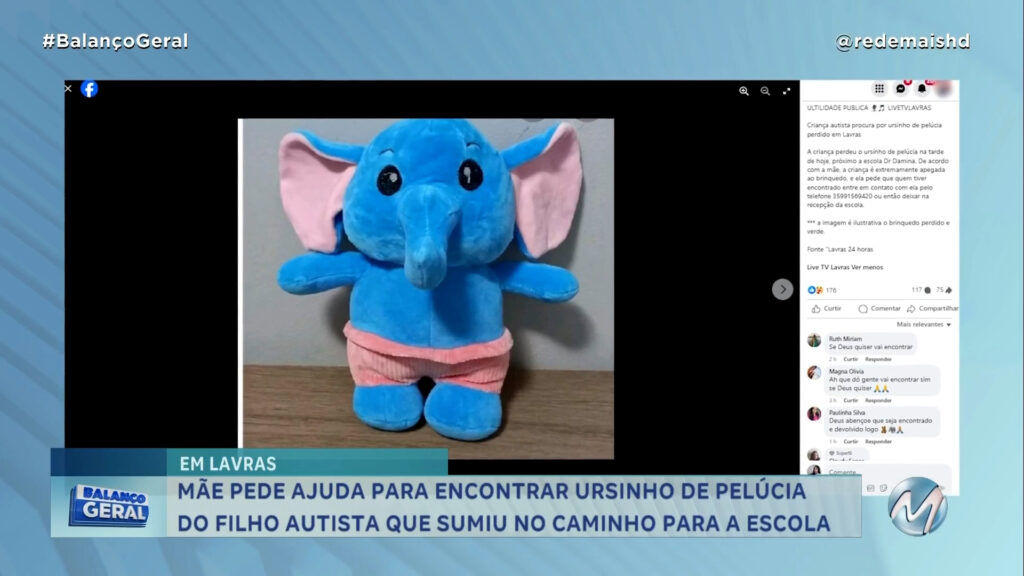 PROCURA-SE UM ELEFANTINHO: MÃE FAZ APELO PARA ENCONTRAR PELÚCIA QUE FILHO AUTISTA PERDEU EM LAVRAS