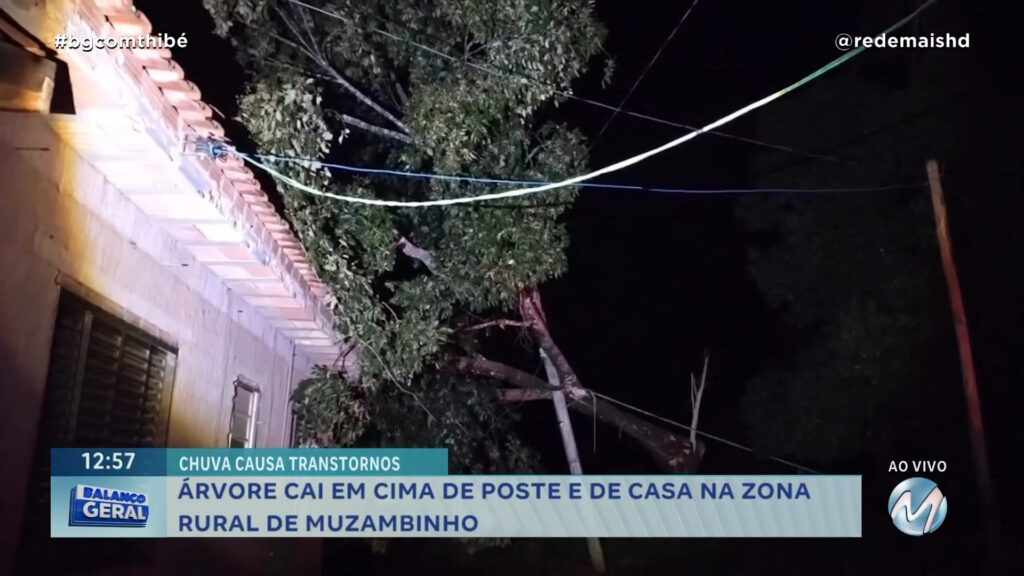 ÁRVORE CAI EM CIMA DE POSTE E DE CASA NA ZONA RURAL DE MUZAMBINHO