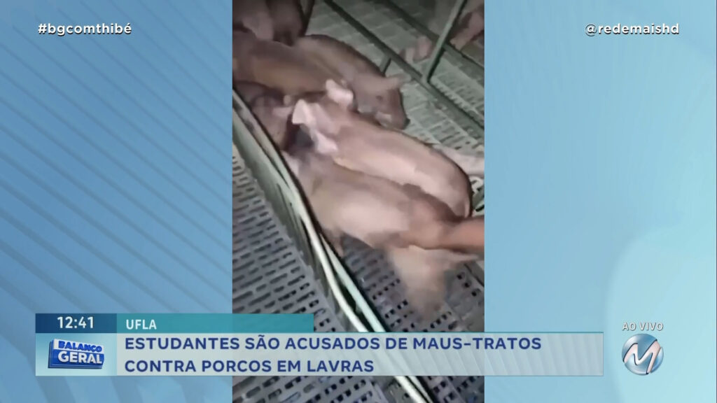 ESTUDANTES SÃO ACUSADOS DE MAUS-TRATOS CONTRA PORCOS EM LAVRAS