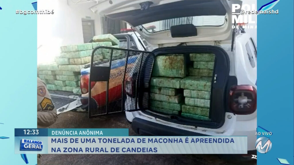 MAIS DE UMA TONELADA DE MACONHA É APREENDIDA NA ZONA RURAL DE CANDEIAS