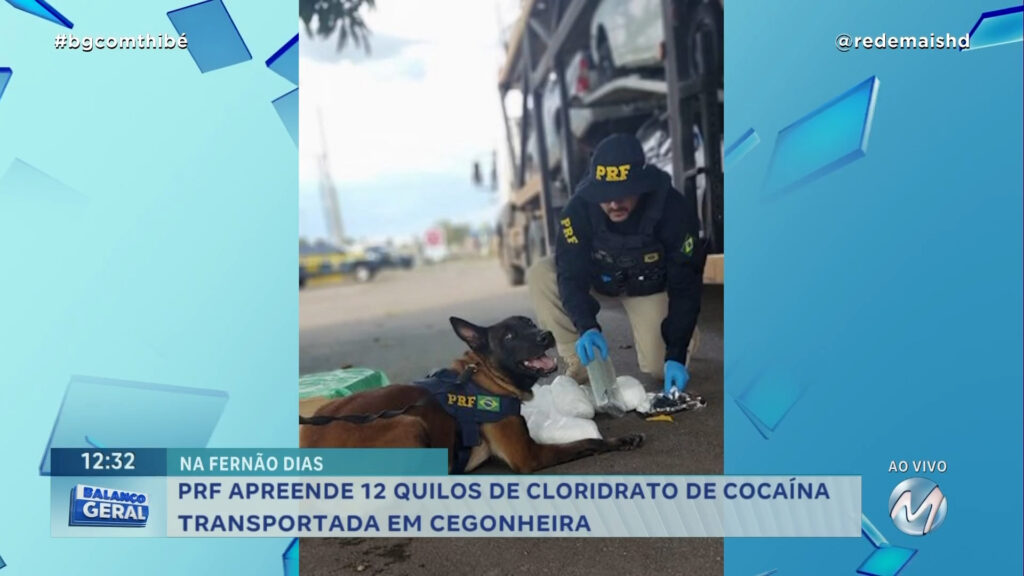 NA FERNÃO DIAS: PRF APREENDE 12 QUILOS DE CLORIDRATO DE COCAÍNA TRANSPORTADA EM CEGONHEIRA