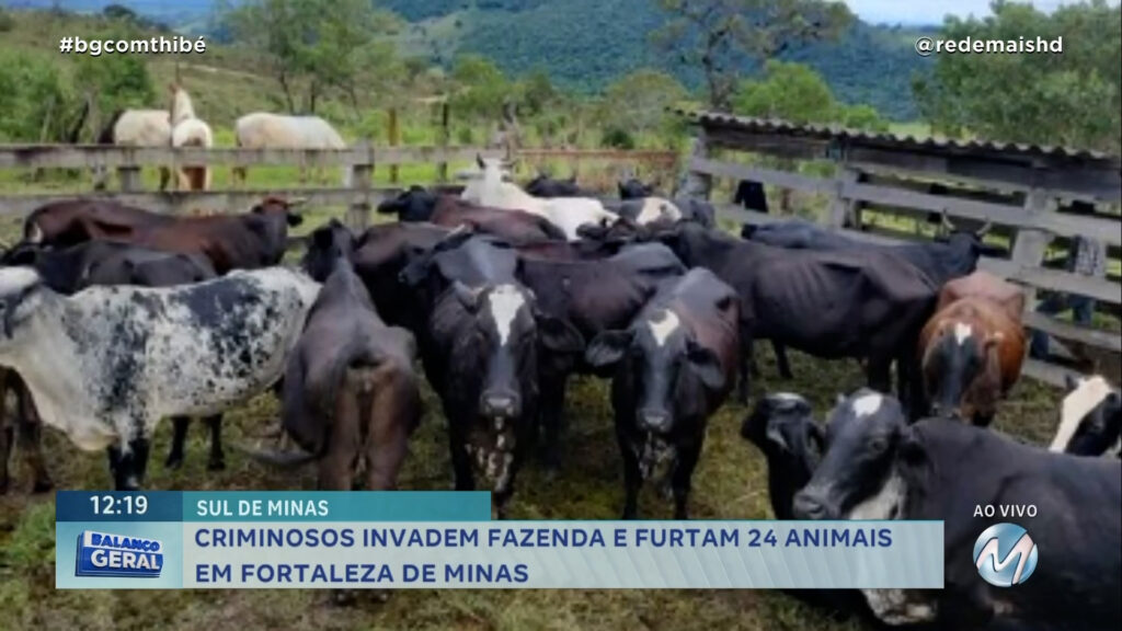 CRIMINOSOS INVADEM FAZENDA E FURTAM ANIMAIS EM FORTALEZA DE MINAS