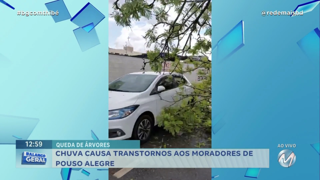 QUEDA DE ÁRVORES: CHUVA CAUSA TRANSTORNOS AOS MORADORES DE POUSO ALEGRE