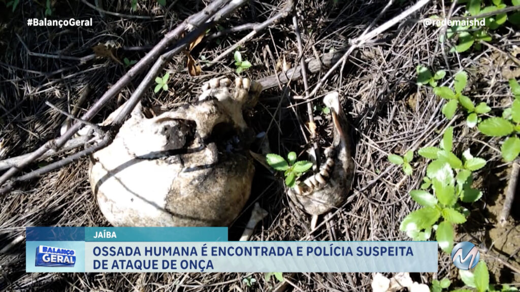 OSSADA HUMANA É ENCONTRADA NA ZONA RURAL DE JAÍBA