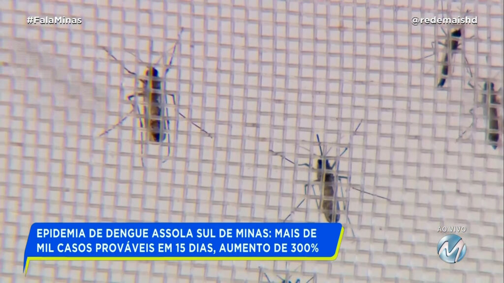 ALERTA DE EPIDEMIA: DENGUE TIPO 3 AMEAÇA O SUL DE MINAS