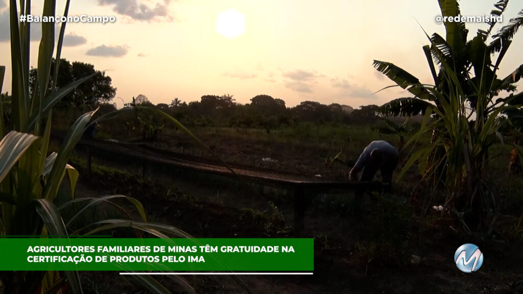 CERTIFICAÇÃO DO IMA PARA O AGRICULTOR MINEIRO