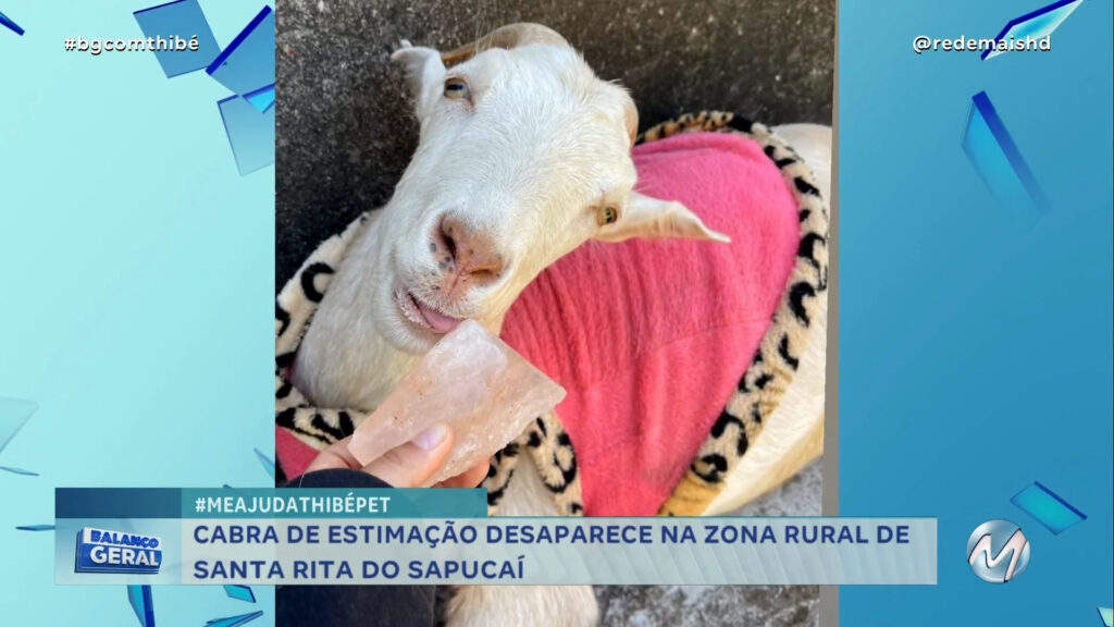 DONA DE CASA PEDE AJUDA PARA ENCONTRAR CABRA DALILA QUE DESAPARECEU EM MG