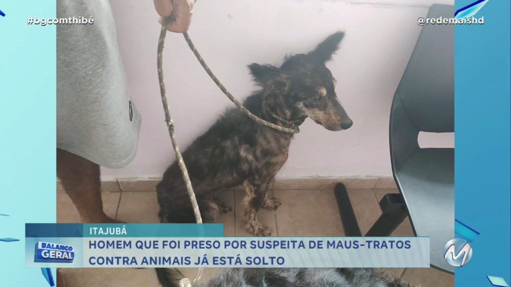 ITAJUBÁ: HOMEM QUE FOI PRESO POR SUSPEITA DE MAUS-TRATOS CONTRA ANIMAIS JÁ ESTÁ SOLTO