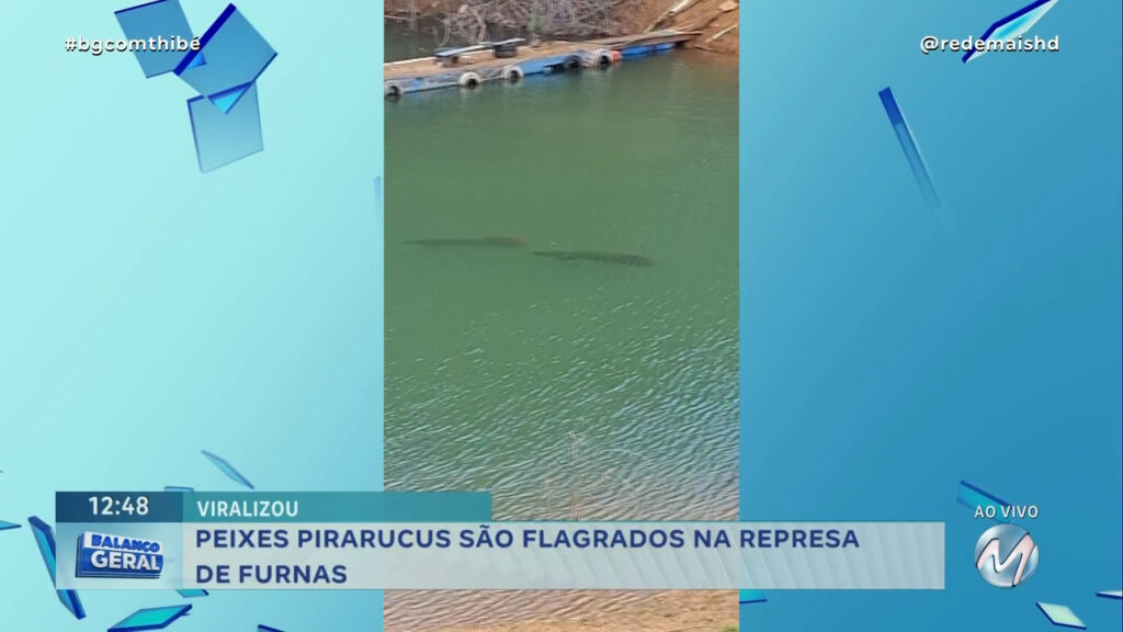 PEIXES PIRARUCUS SÃO FLAGRADOS NA REPRESA DE FURNAS