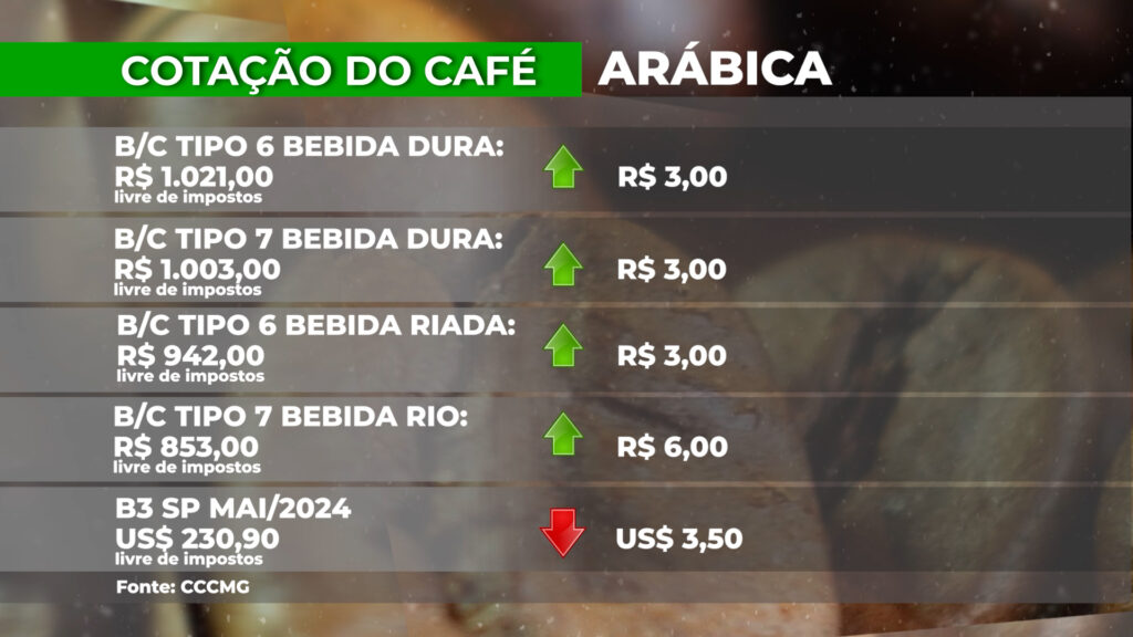 COTAÇÃO DO CAFÉ – 20/02/24