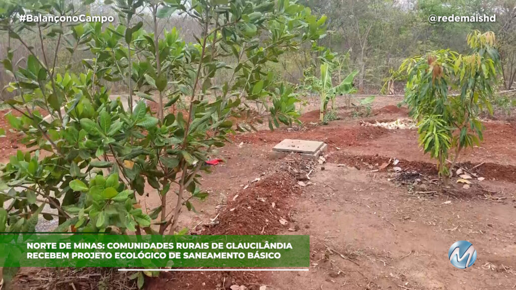 SISTEMA ECOLÓGICO DE SANEAMENTO BÁSICO RURAL EM GLAUCILÂNDIA