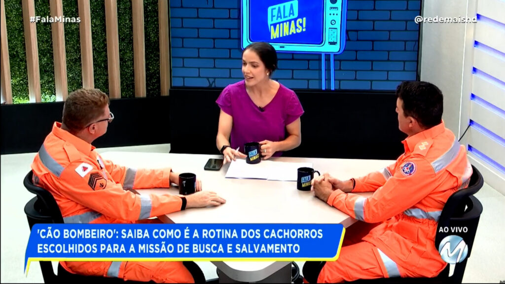 ‘CÃO BOMBEIRO’: SAIBA COMO É A ROTINA DOS CACHORROS ESCOLHIDOS PARA A MISSÃO DE BUSCA E SALVAMENTO