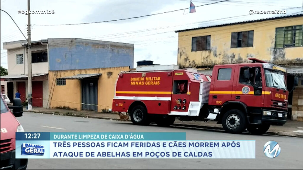 EM POÇOS DE CALDAS: TRÊS PESSOAS FICAM FERIDAS E CÃES MORREM APÓS ATAQUE DE ABELHAS