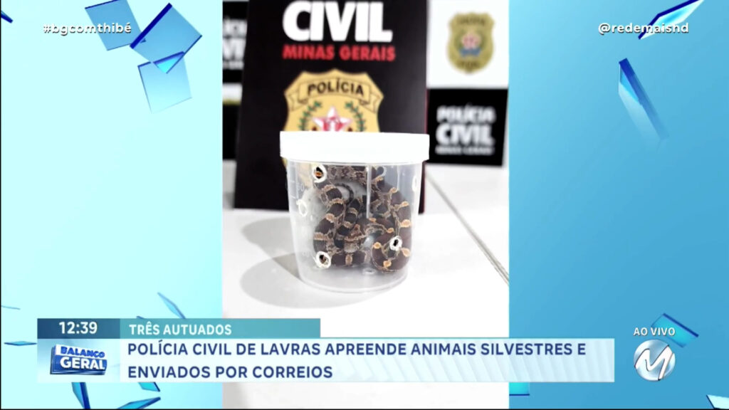 POLÍCIA CIVIL APREENDE ANIMAIS EXÓTICOS EM LAVRAS