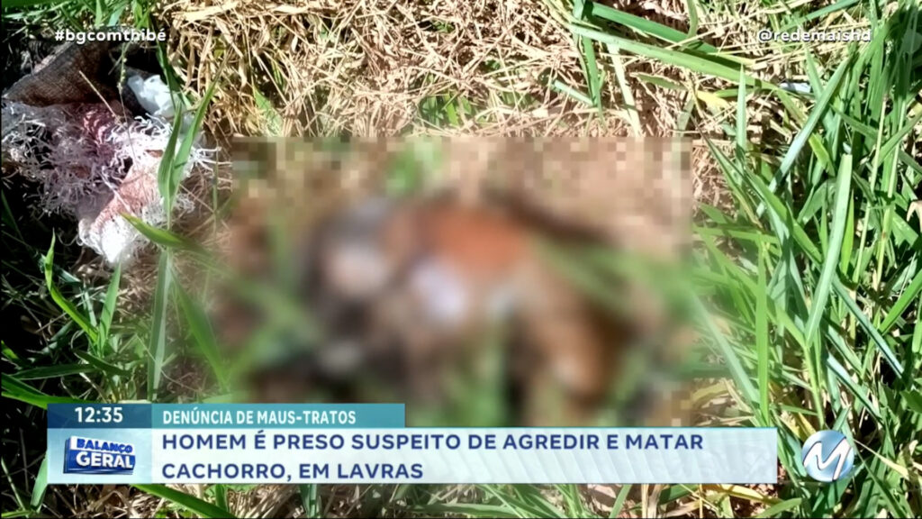 RAPAZ É PRESO POR MATAR CACHORRO EM LAVRAS