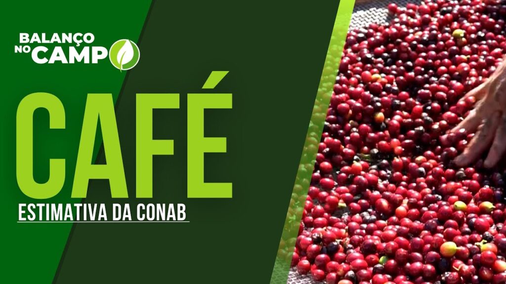 ESTIMATIVA DA SAFRA DE CAFÉ DA CONAB