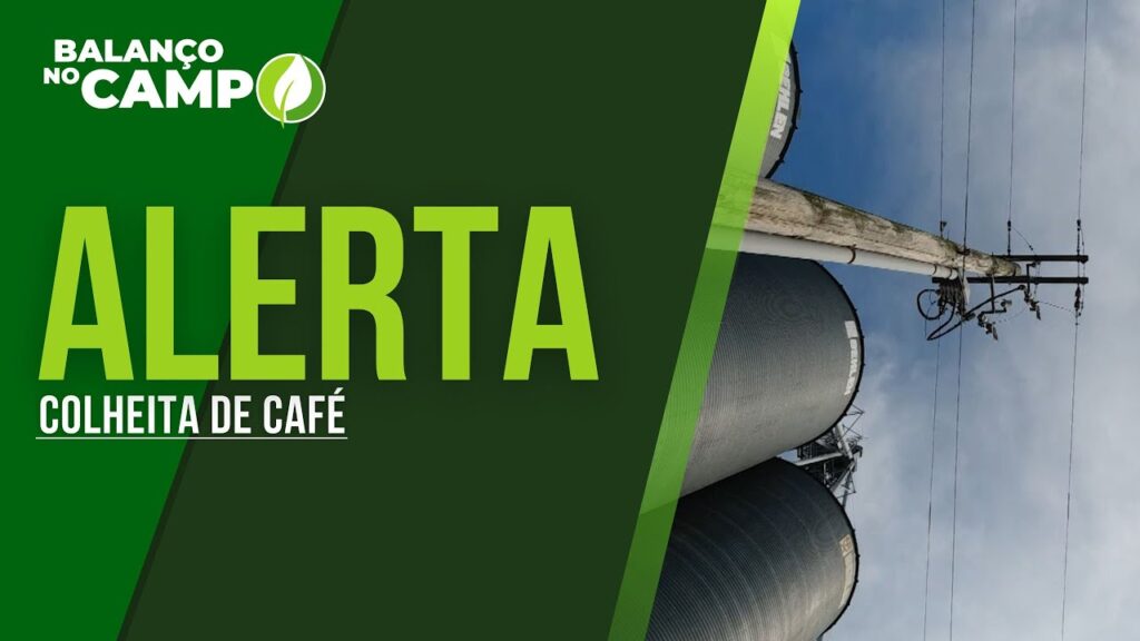 COLHEITA DO CAFÉ: CEMIG ALERTA PARA CUIDADOS COM A REDE ELÉTRICA