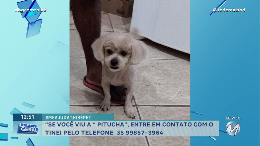 #MEAJUDATHIBÉPET: CACHORRINHA “ PITUCHA” SUMIU EM VARGINHA