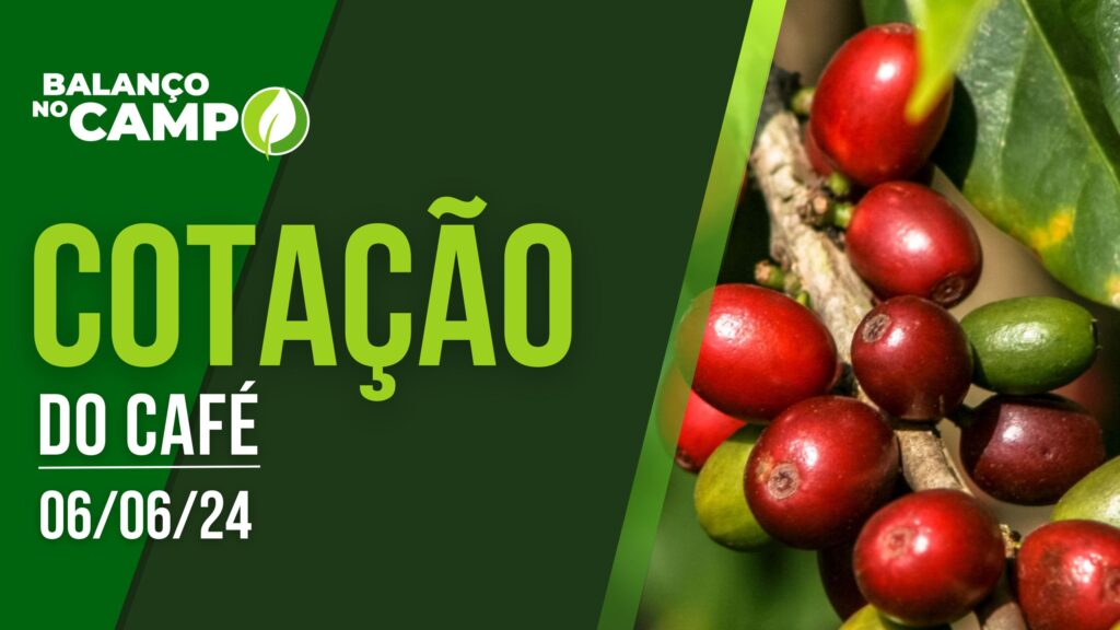 COTAÇÃO DO CAFÉ – 06/06/2024