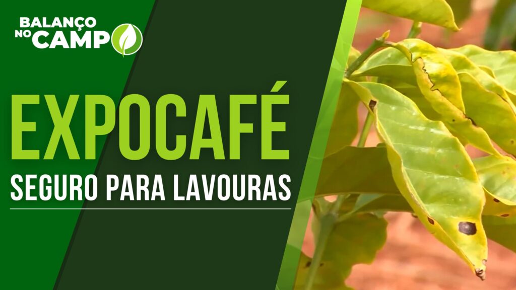 SEGURO PARA LAVOURAS DE CAFÉ