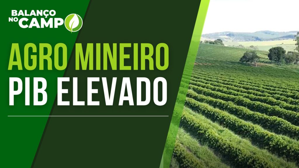 PIB DO AGRO MINEIRO CRESCE EM 2023