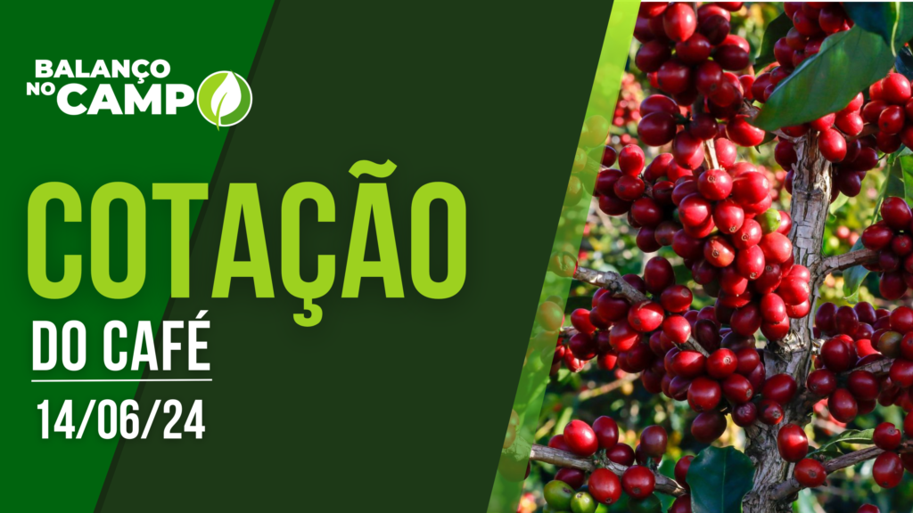 COTAÇÃO DO CAFÉ – 14/06/2024