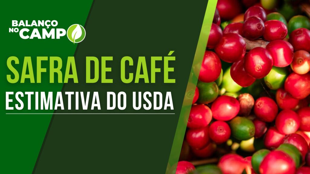 USDA DIVULGA SAFRA DE CAFÉ NO BRASIL