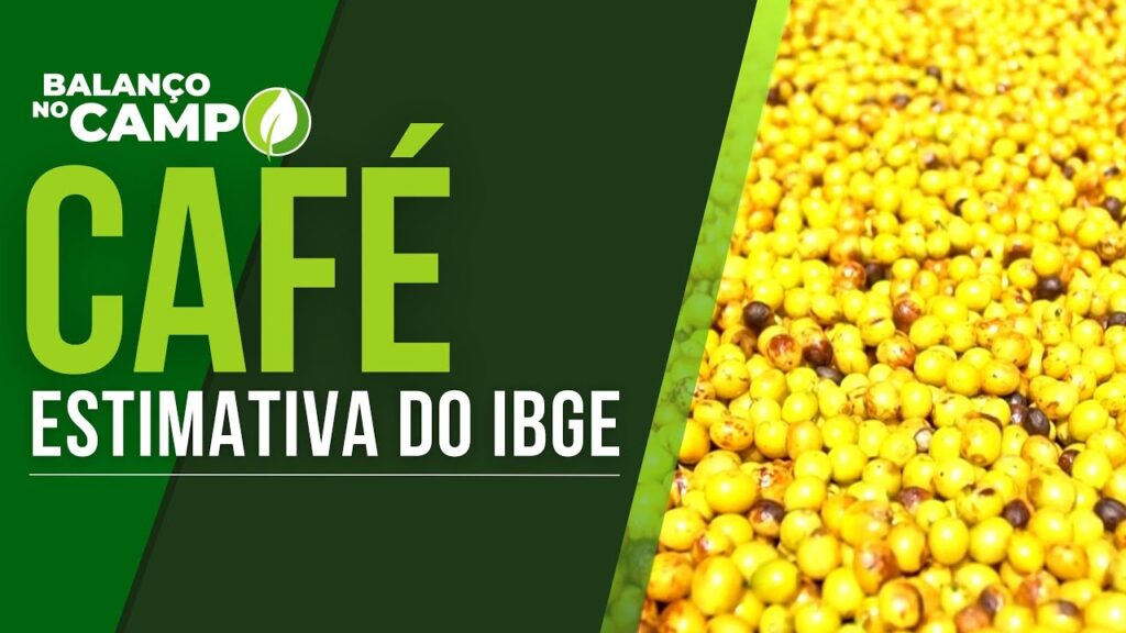 IBGE ESTIMA CRESCIMENTO DA SAFRA DE CAFÉ