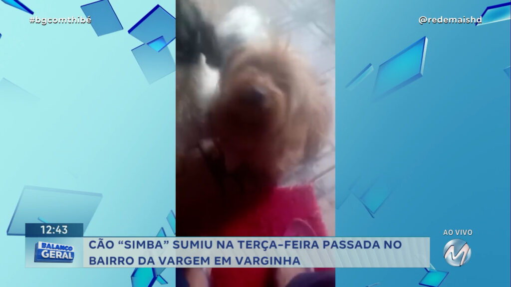 #MEAJUDATHIBÉPET: CÃO “SIMBA” SUMIU EM VARGINHA