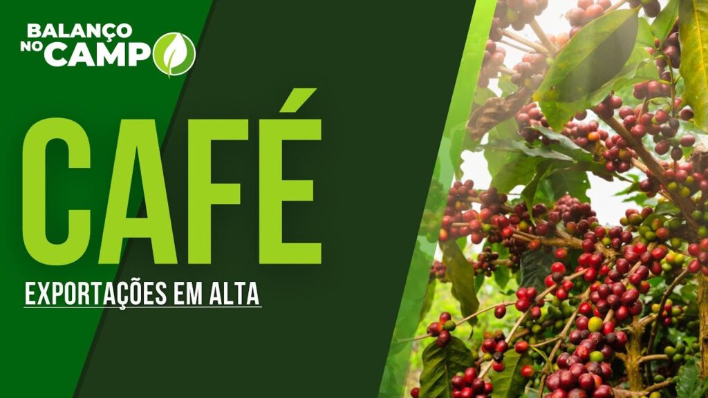 BRASIL EXPORTA 47,3 MILHÕES DE SACAS DE CAFÉ NA SAFRA 23/24